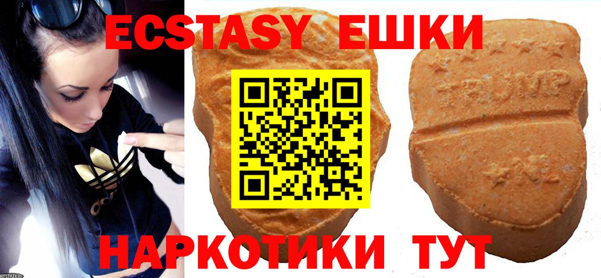 Ecstasy Philipp Plein  Вход с VPN  Экстази  Экстази бентли  Обь 