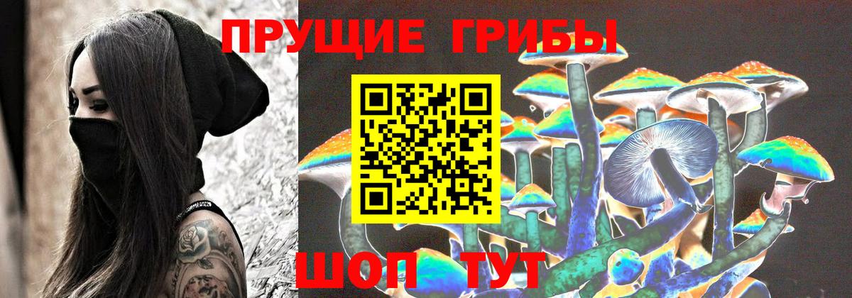 Псилоцибиновые грибы Cubensis Обь
