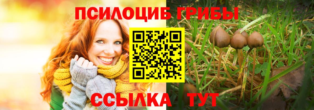 Галлюциногенные грибы MAGIC MUSHROOMS  Вход с VPN  Обь 